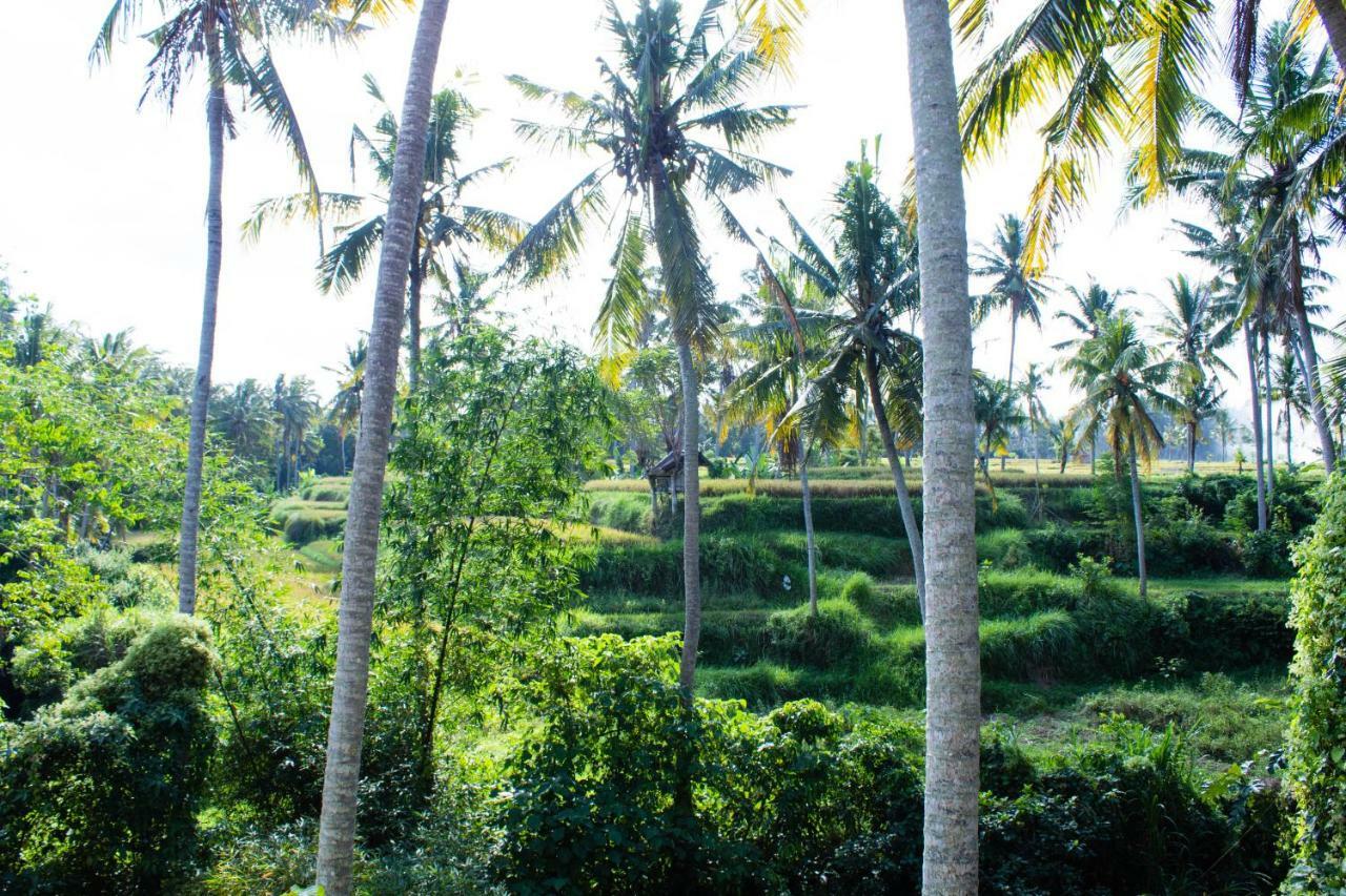 Alam Grigis Ubud Eksteriør billede
